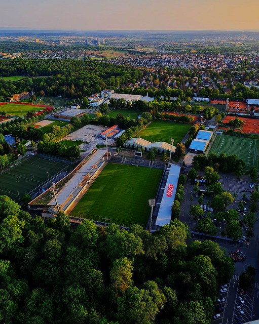 均降低了 均降低了