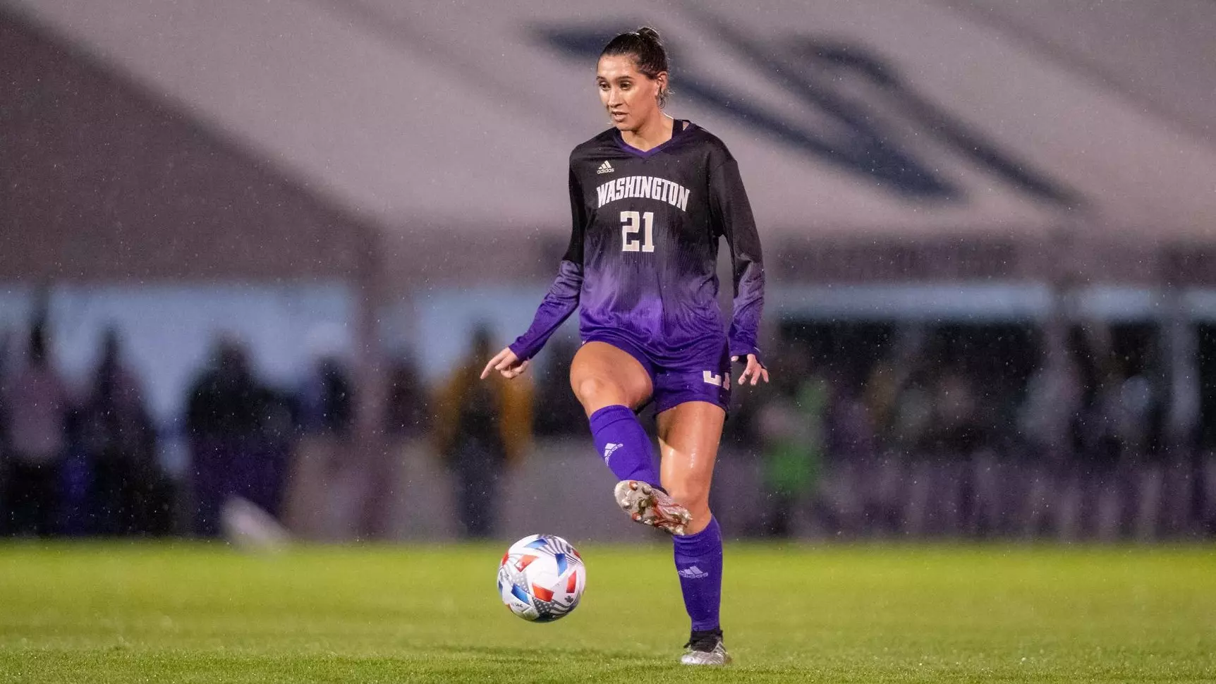 这只是一个 这只是一个