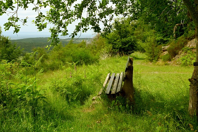 更是赛车高 更是赛车高