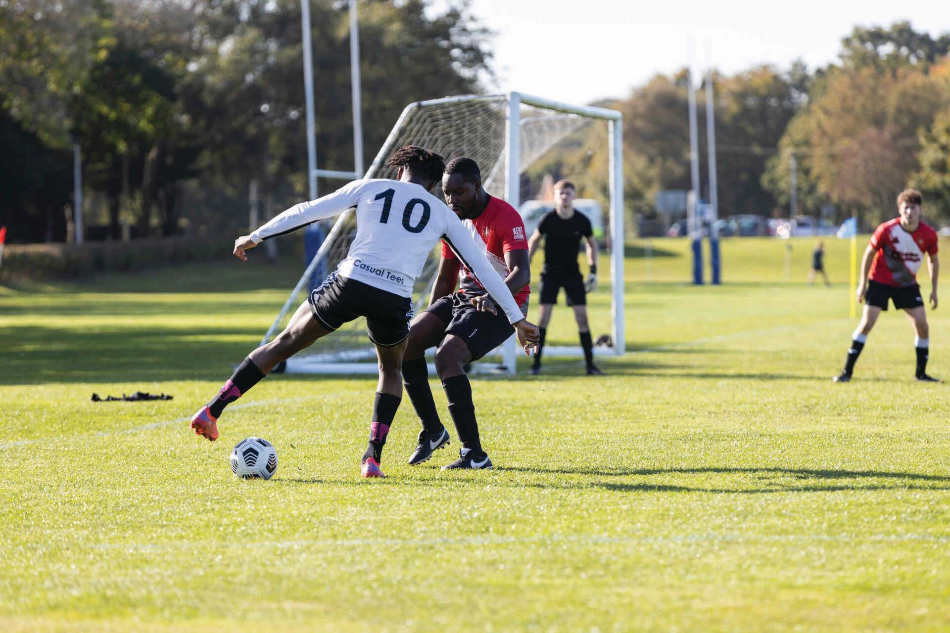 阵容著称 阵容著称